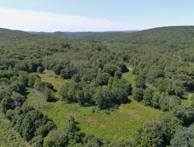 an expanse of green forest and fields, with blue sky and clouds