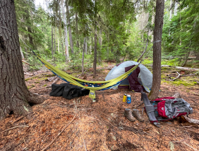 A campsite with a hammock hanging between two trees, a tent, boots, and other gear on the ground.