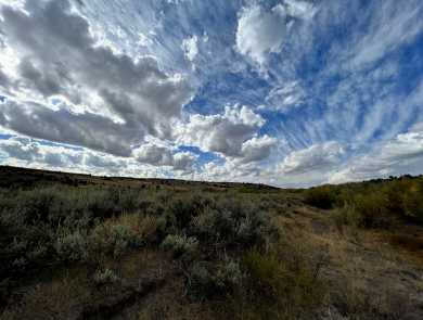 A sagebrush landscape can be seen with an expansive, cloudy sky.