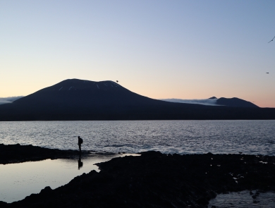 Biologist walks along shore of St Lazaria island at dusk with Mount Edgecumbe in the background.