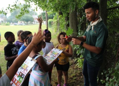 Students learning about tree identification
