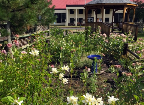 In the foreground, a bush blooms with white flowers. Mid-ground, a blue bird bath stands inside a garden surrounded by wooden fencing. In the background, a gazebo is near the garden, and the hatchery main building is beyond.
