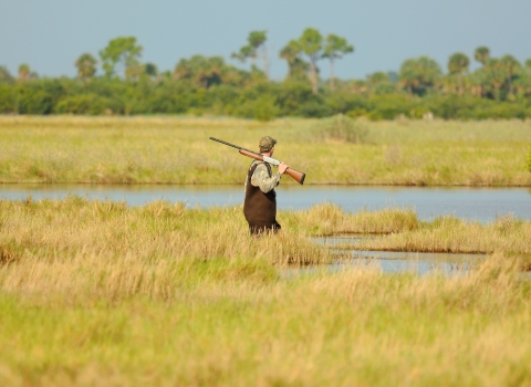 A duck hunter wades through saltmarsh grasses