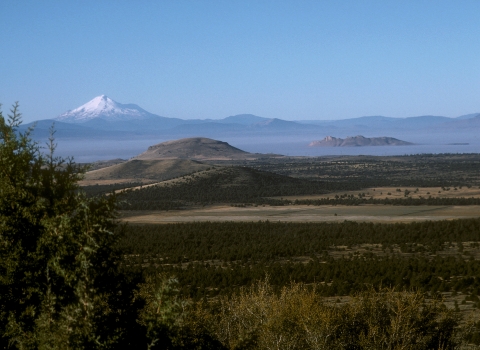 Landcape photo of a green basin with snowcapped mountain in the background.
