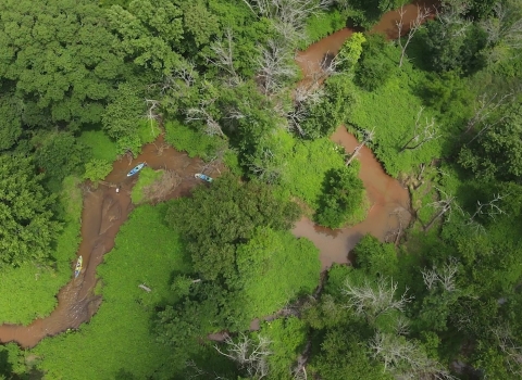 Aerial view of kayakers on a narrow, meandering river surrounded by lush, green vegetation