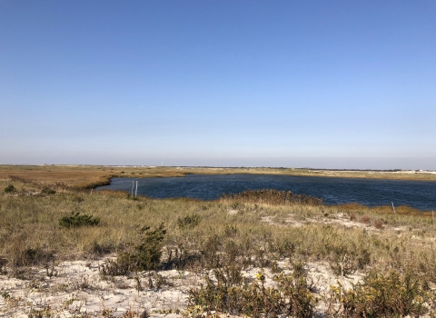 A cloudless blue sky over a dune landscape. A water filled inlet takes up space to the right. There is much vegetation on the dunes. 