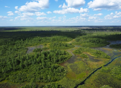 Aerial view of swamp prairie and tree houses with blue sky and clouds in background