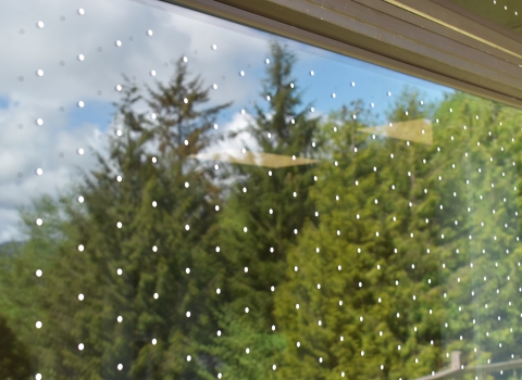 Picture of treated window at Nestucca National Wildlife Refuge. There are white dots spaced two inches apart and trees can be seen in the window's reflection.