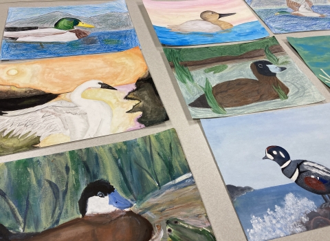 An image of eight pieces of artwork on a plain white table. The art depicts different duck and swan species.