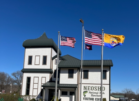 2 U.S. flags, USFWS flag, fish pennant on flagpoles in front of fancy, old-timey building with sign “Neosho National Fish Hatchery Visitor Center”